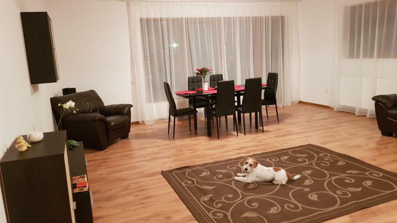 Gloria Apartament Daire Baia Mare Dış mekan fotoğraf